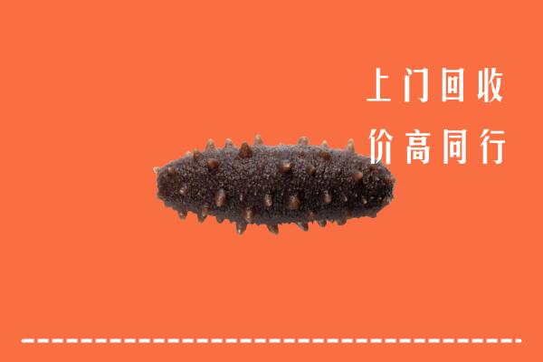 高价求购：沈阳康平县回收海参